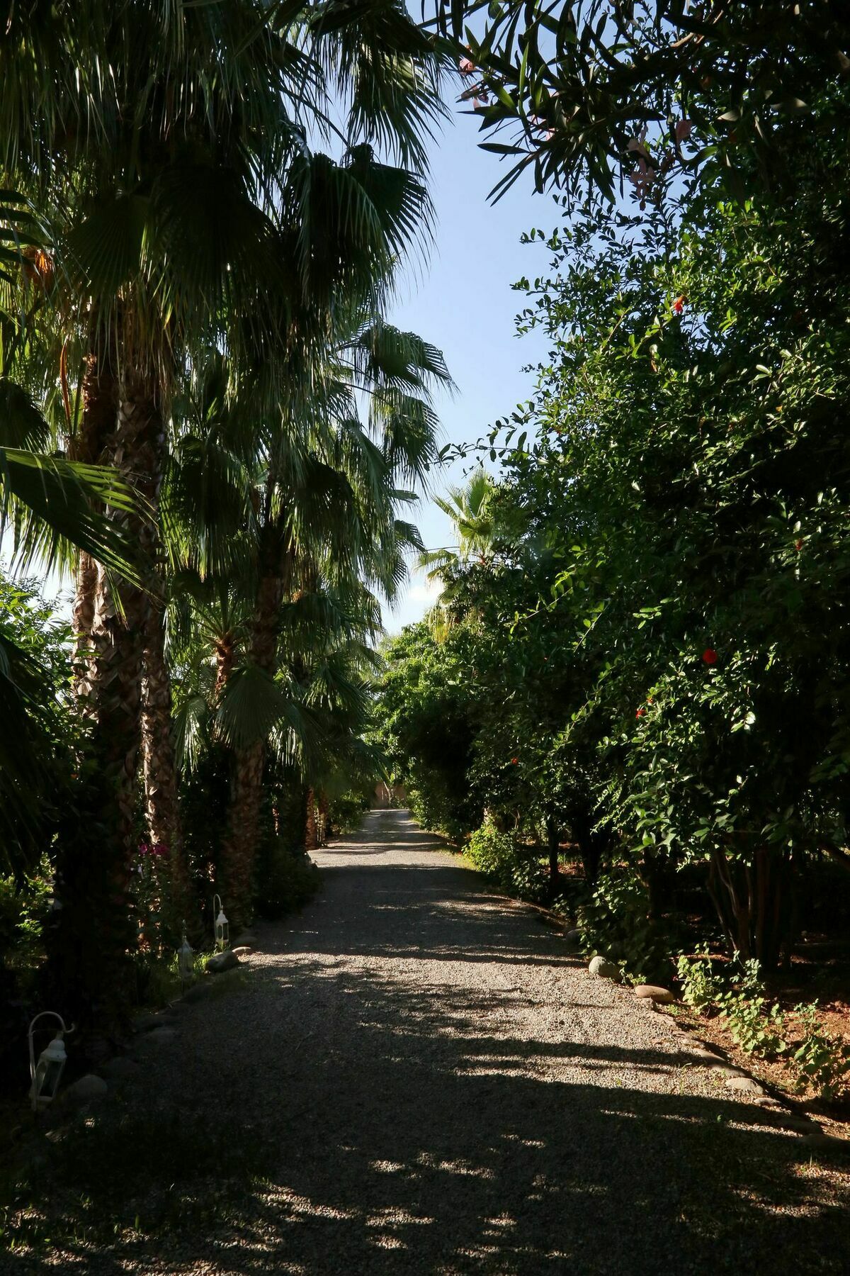 Bed and Breakfast Le Bled Ferme Lahebichate Esterno foto